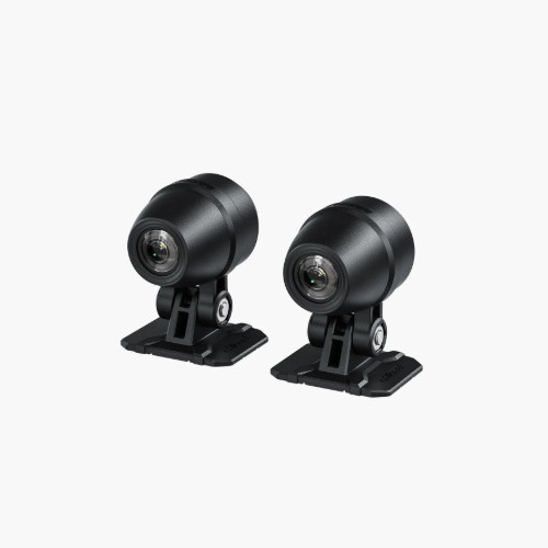 Daisy on the Ohoopee